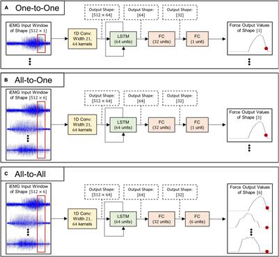 End-to-End Estimation of Hand- and Wrist Forces From Raw Intramuscular EMG Signals Using LSTM Networks